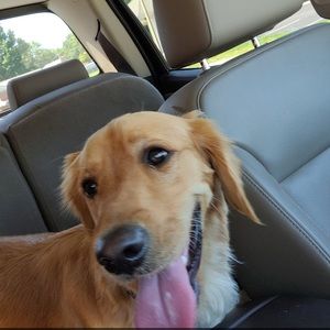 Meet your Posher, Cole